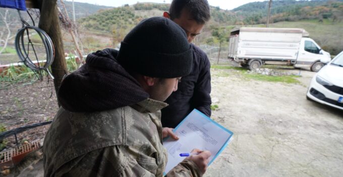 Balıkesir çiftçisine %100 hibeli damızlık desteği