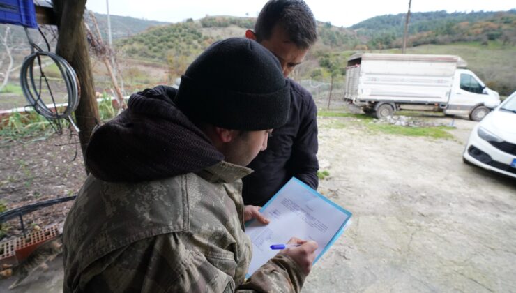 Balıkesir çiftçisine %100 hibeli damızlık desteği