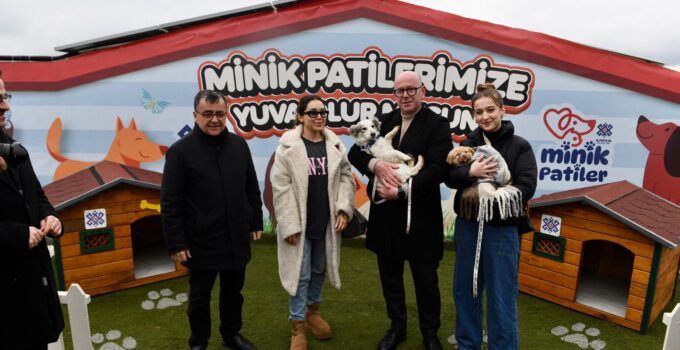 ALTIEYLÜL’DE 228 CAN DOST SICAK YUVA BEKLİYOR