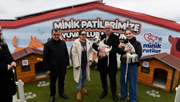 ALTIEYLÜL’DE 228 CAN DOST SICAK YUVA BEKLİYOR