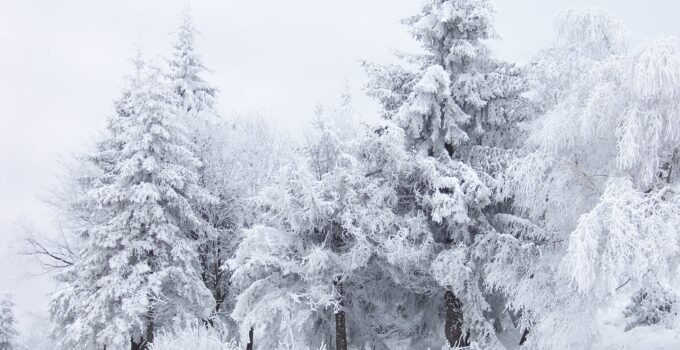 Meteoroloji’den 6 İl İçin “Sarı Alarm”: Kuvvetli Sağanak ve Kar Kapıda!