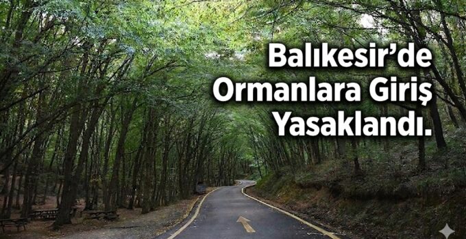 Balıkesir’de Ormanlara Giriş Yasaklandı: İşte Yasak Tarihleri ve İzin Verilen Yerler