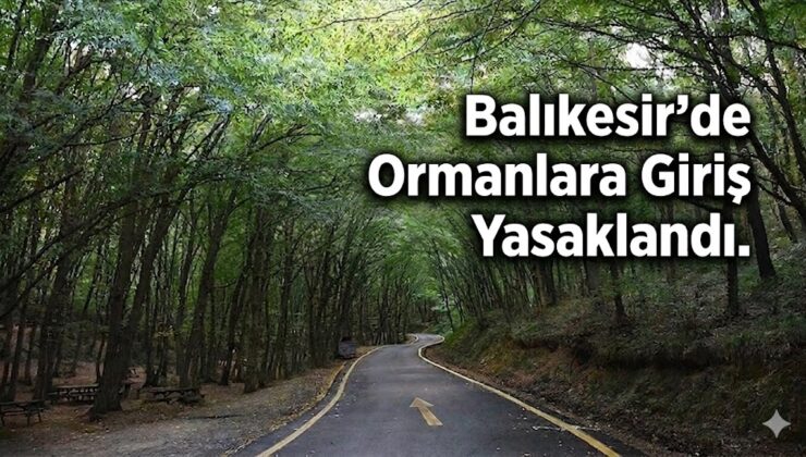 Balıkesir’de Ormanlara Giriş Yasaklandı: İşte Yasak Tarihleri ve İzin Verilen Yerler